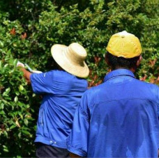 吸湿透气的夏季工作服定做