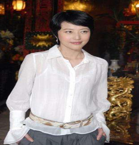 职场女士个性衬衫制作
